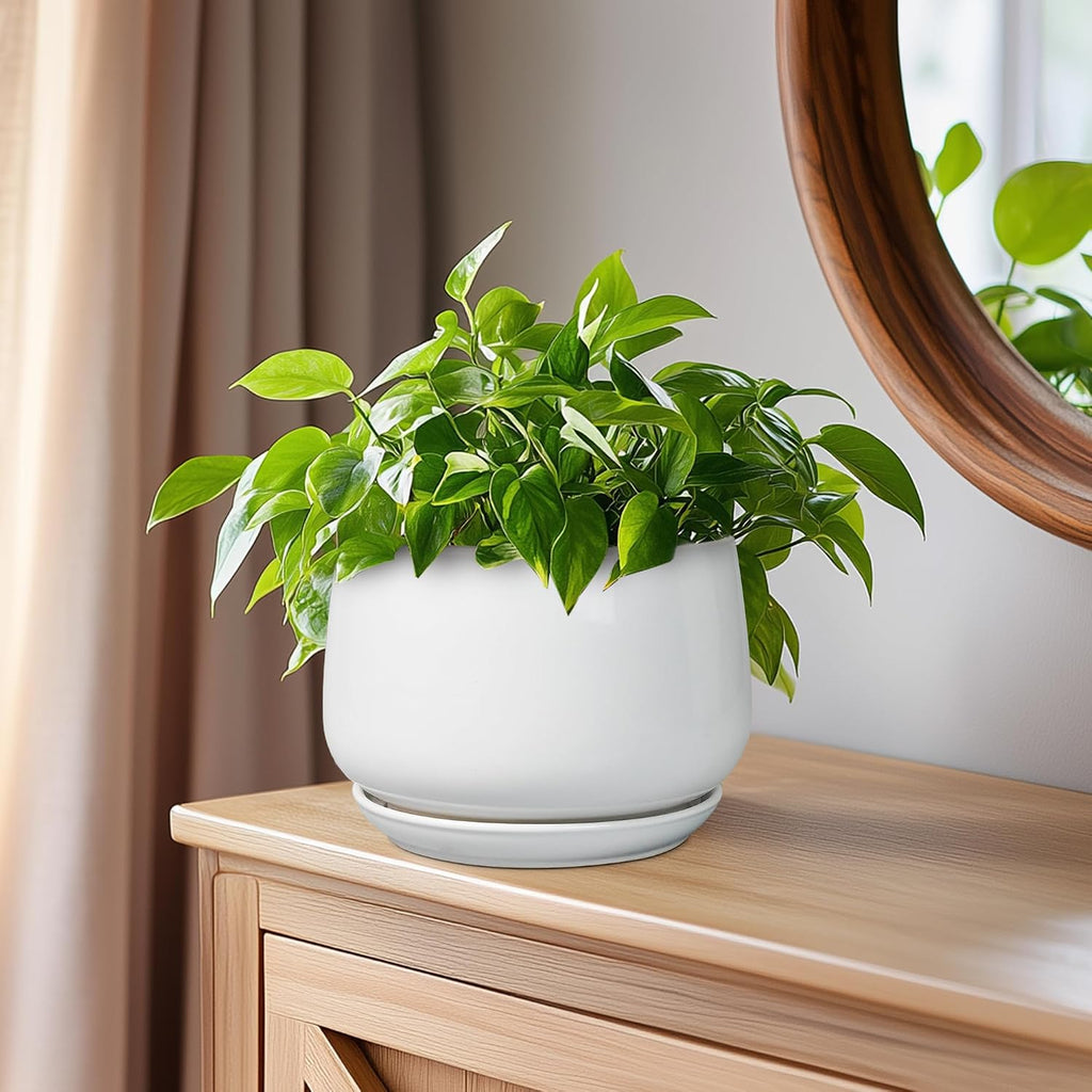 G EPGardening Ceramic Pots for Plants - 6 Inch Planter for Indoor Plants, Flower Pots with Drainage and Ceramic Tray
