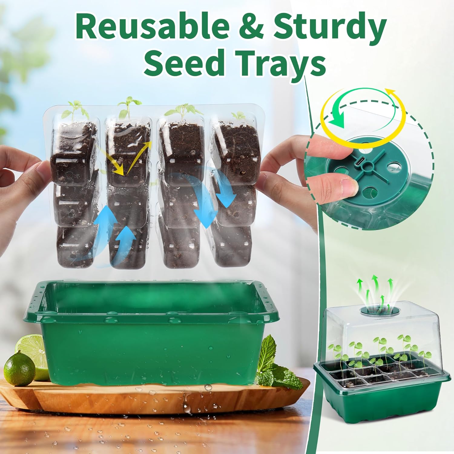 4-Pack Seed Starter Tray with Grow Light and Heat Mat, 48 Cells Seed Starter Kit with Adjustable Humidity Dome and