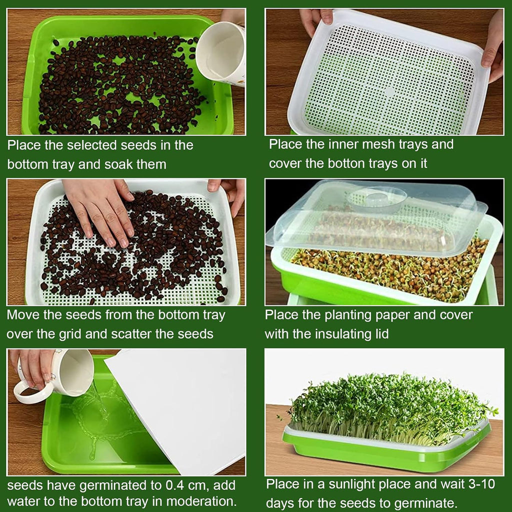 SHUESS 6 Pack Seed Sprouting Tray with Drain Holes BPA Free Nursery Tray Microgreens Growing Trays Wheatgrass Grower