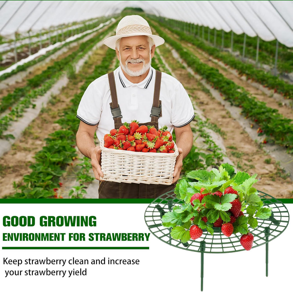 Irenare 12 Pack Strawberry Plant Support with Plant Labels Large Size Strawberry Growing Racks Growing Frame Stand