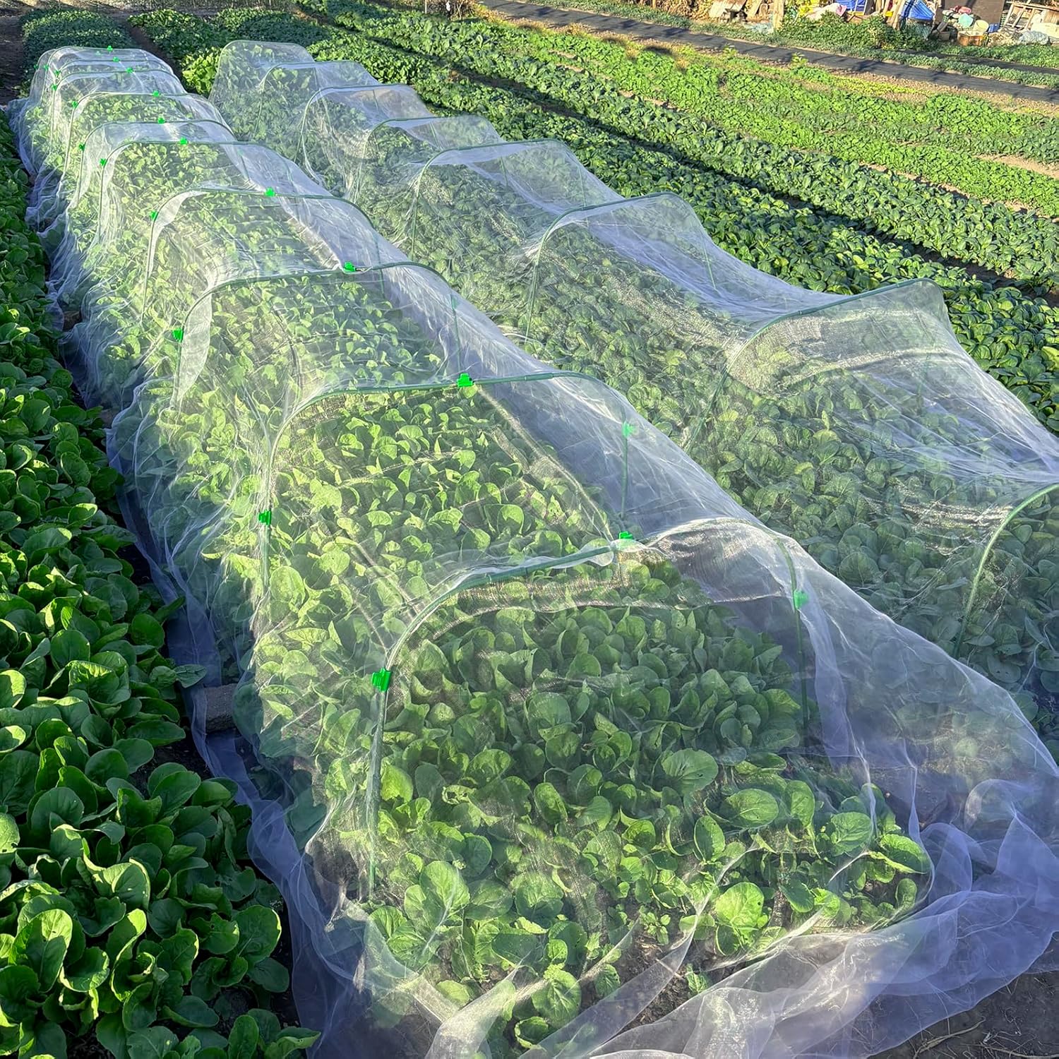 10 Sets 41.3"x32" Greenhouse Hoops Grow Tunnel for Raised Beds,Durable Rust-Free Removable Row Cover Hoops for Garden