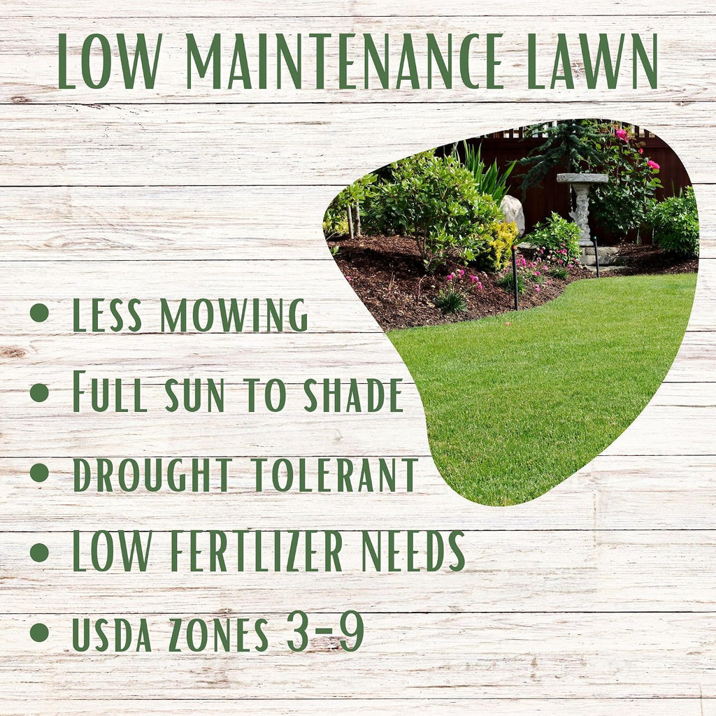 Ruff and Tuff Mow Less Fescue Grass Seed, 2 lbs, Low Maintenance, Family Friendly, Drought Tolerant, Covers up to 1000