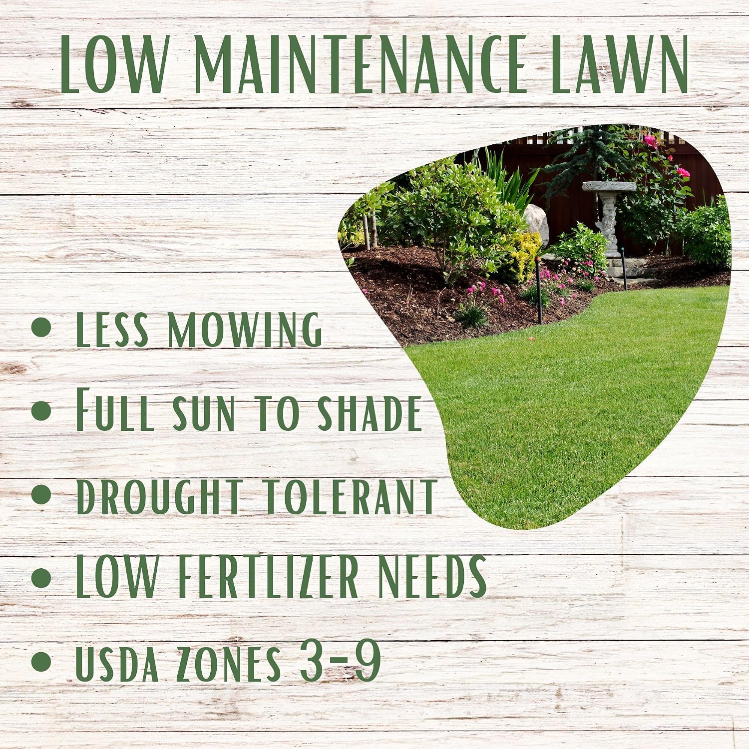 Ruff and Tuff Mow Less Fescue Grass Seed, 2 lbs, Low Maintenance, Family Friendly, Drought Tolerant, Covers up to 1000