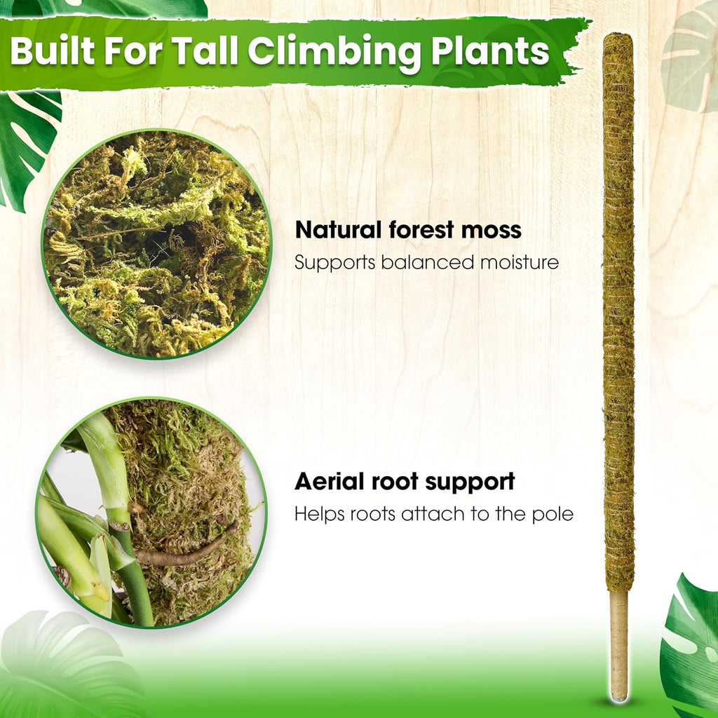 59" Natural Large Moss Pole for Big & Mature Plants, (1pc., 59'') | Forest Moss Surface, Monstera Plant Support, Rigid
