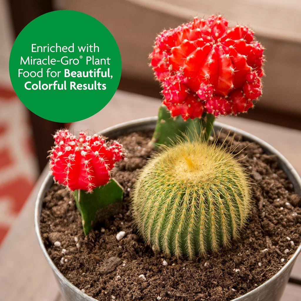 Gro Cactus, Palm & Citrus Potting Mix, 8 qt., 3-Pack | Palm and Citrus Potting Mix, For Indoor or Outdoor Container