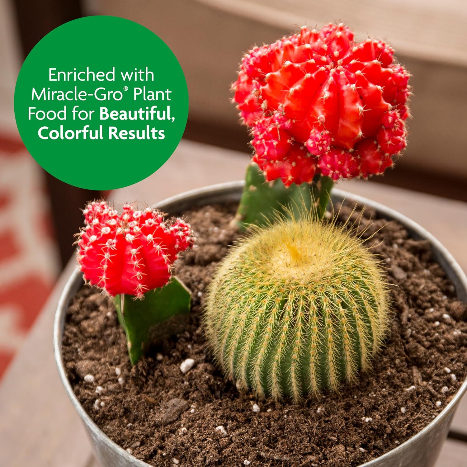 Gro Cactus, Palm & Citrus Potting Mix, 8 qt., 3-Pack | Palm and Citrus Potting Mix, For Indoor or Outdoor Container