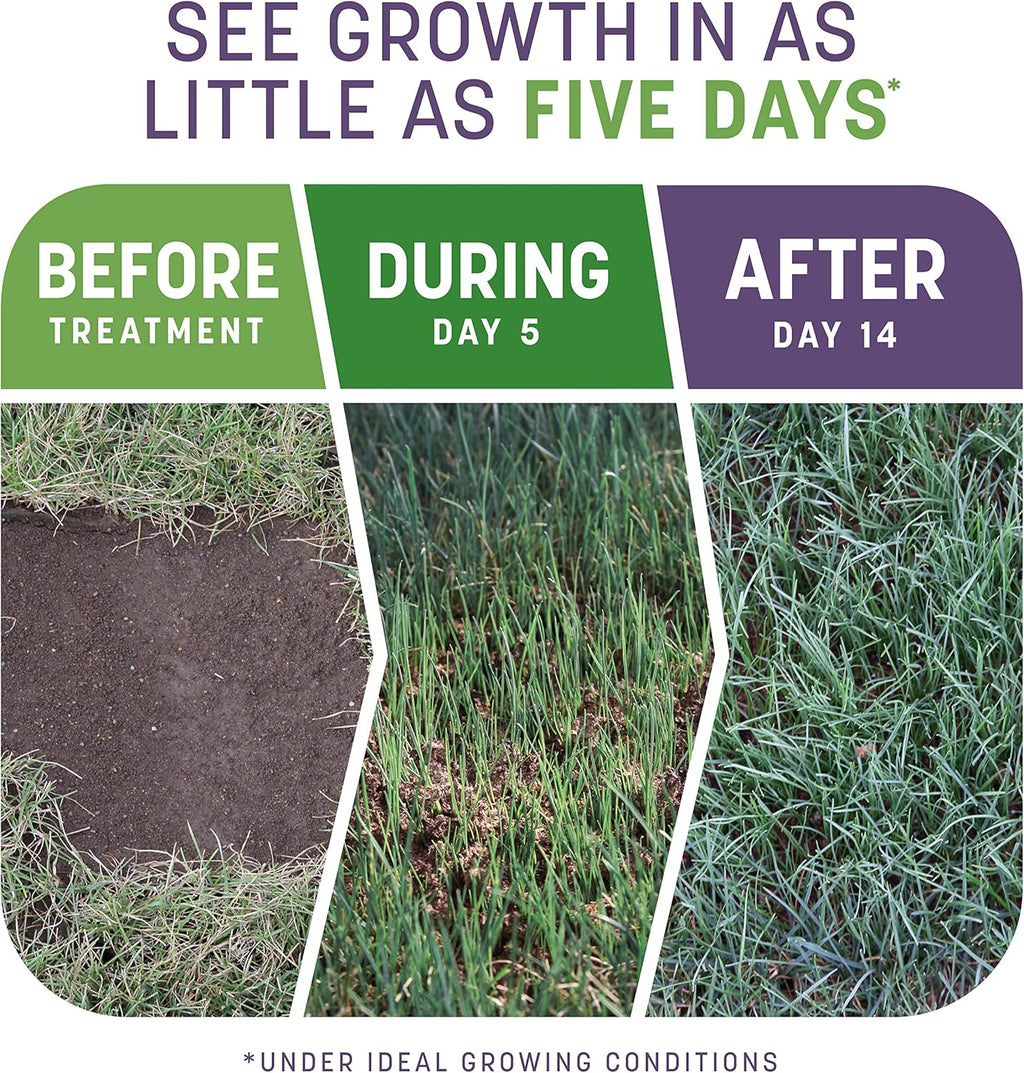 Pennington Smart Patch Dense Shade Grass Seed 10 LB, Bare Spot Repair with Mulch and Fertilizer