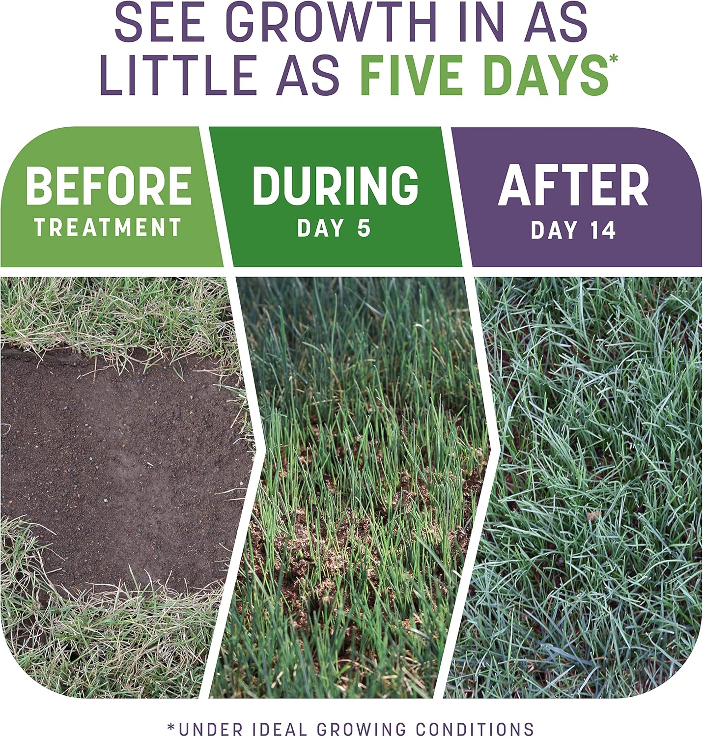 Pennington Smart Patch Dense Shade Grass Seed 10 LB, Bare Spot Repair with Mulch and Fertilizer