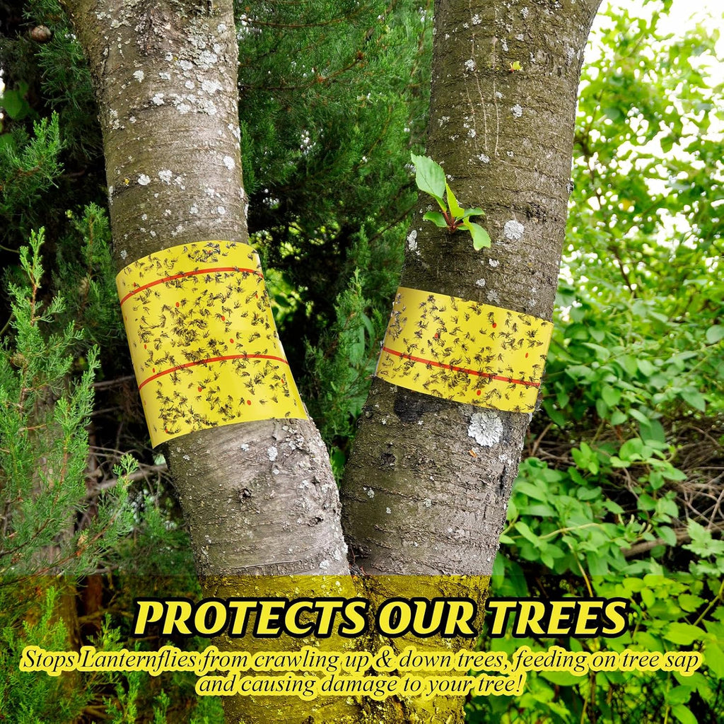 12 Rolls Spotted Lantern Fly Tree Trap 30 Feet Each Roll Lanternfly Tree Outdoor Fruit Fly Sticky Strips Paper Insect