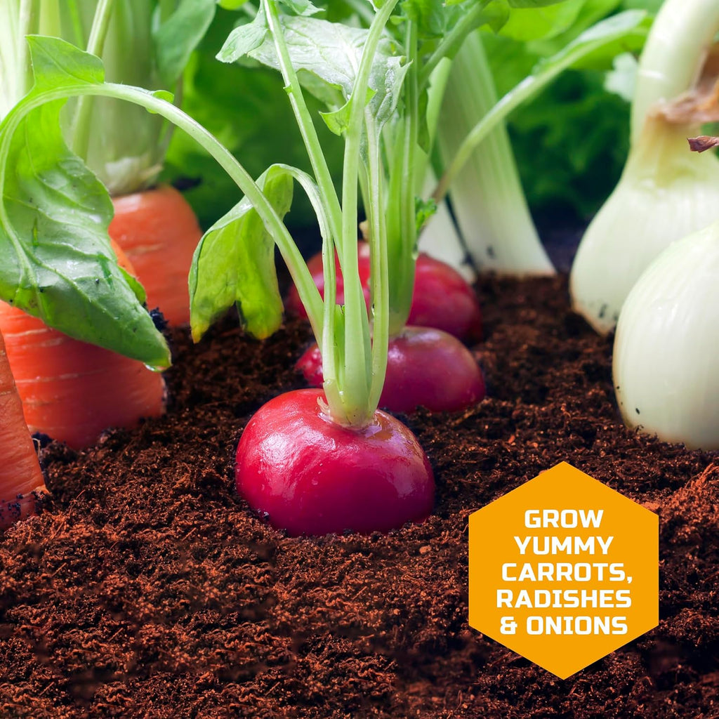 Discovery™ Edible Veggie Garden Watch-It-Grow Kit – DIY STEM Activity for Kids | Grow Carrots, Radishes & Onions