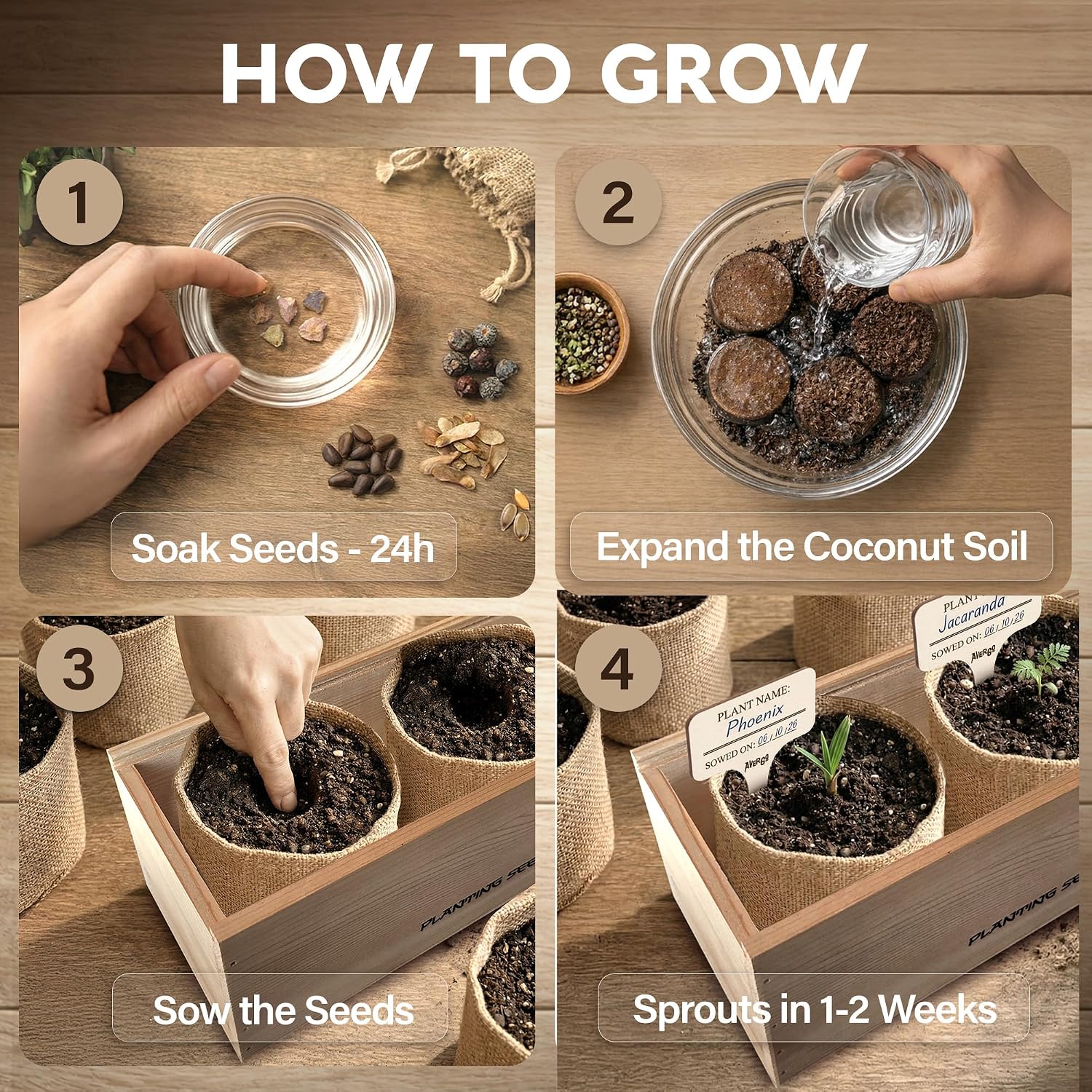 Bonsai Tree Kit Deluxe - Growing 5 Unique Japanese Bonzai Trees | Complete Indoor Bonsai Starter Kits for Growing Trees