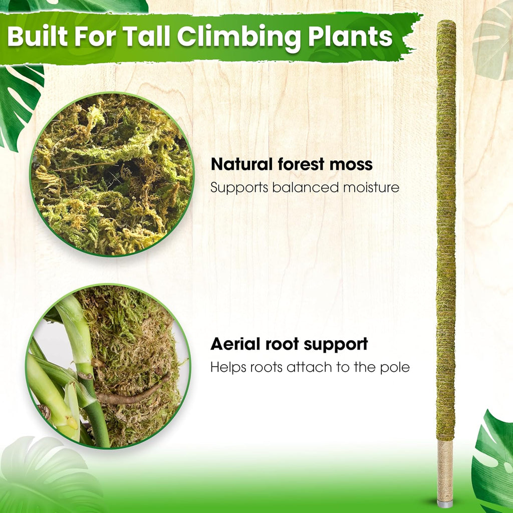80" Large Stackable Moss Pole for Plants Monstera, (1pc., 80'') | Forest Moss Surface, Plant Stakes for Indoor Plants