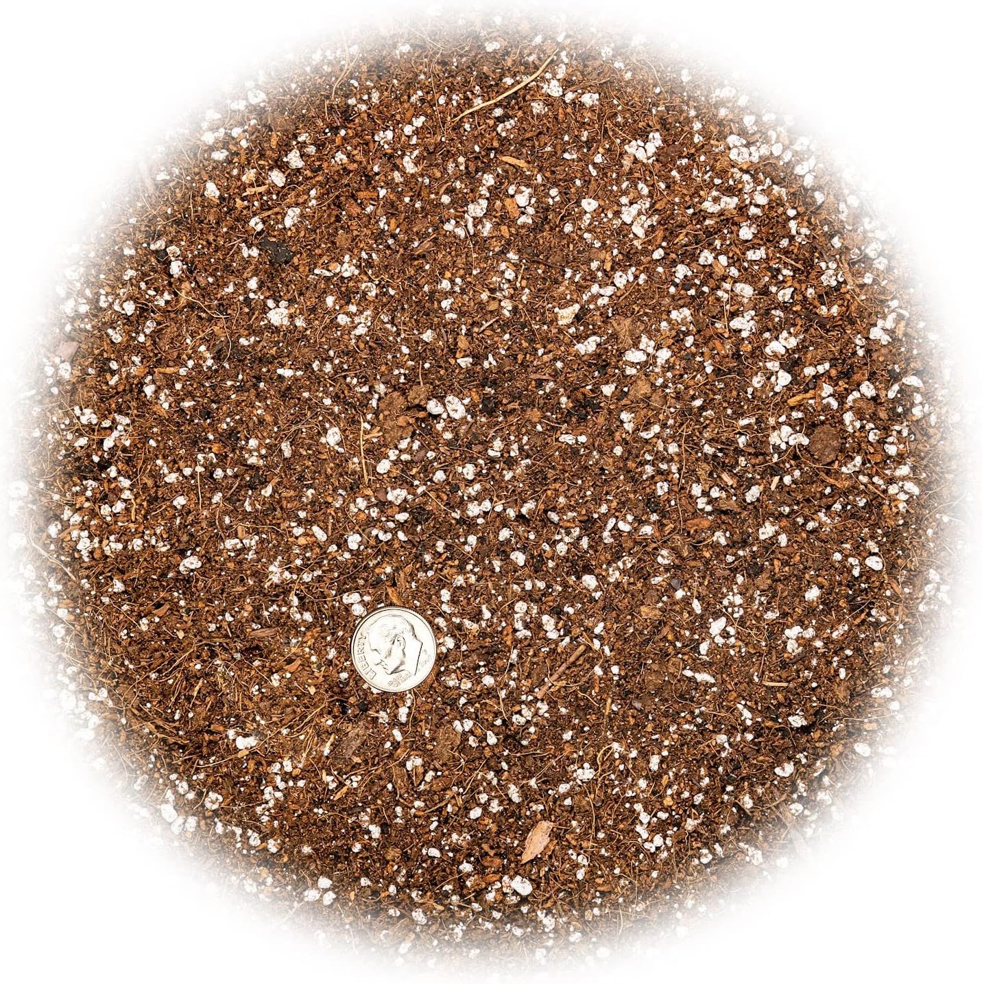 Professional Carnivorous Plant Soil - Ready to Use for Venus Flytraps, Sundews, Pitcher Plants, Butterworts | Peat