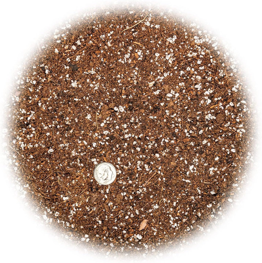 Professional Carnivorous Plant Soil - Ready to Use for Venus Flytraps, Sundews, Pitcher Plants, Butterworts | Peat