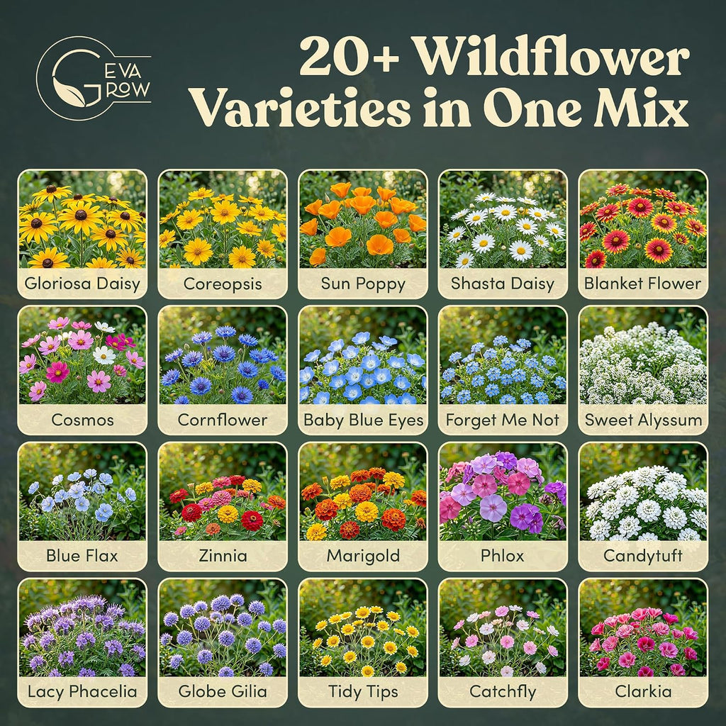 Wildflower Seed Shaker – Annual Mix by GevaGrow | 17 Variety Flower Seeds for Planting in Pots & Outdoor Gardens, Bulk