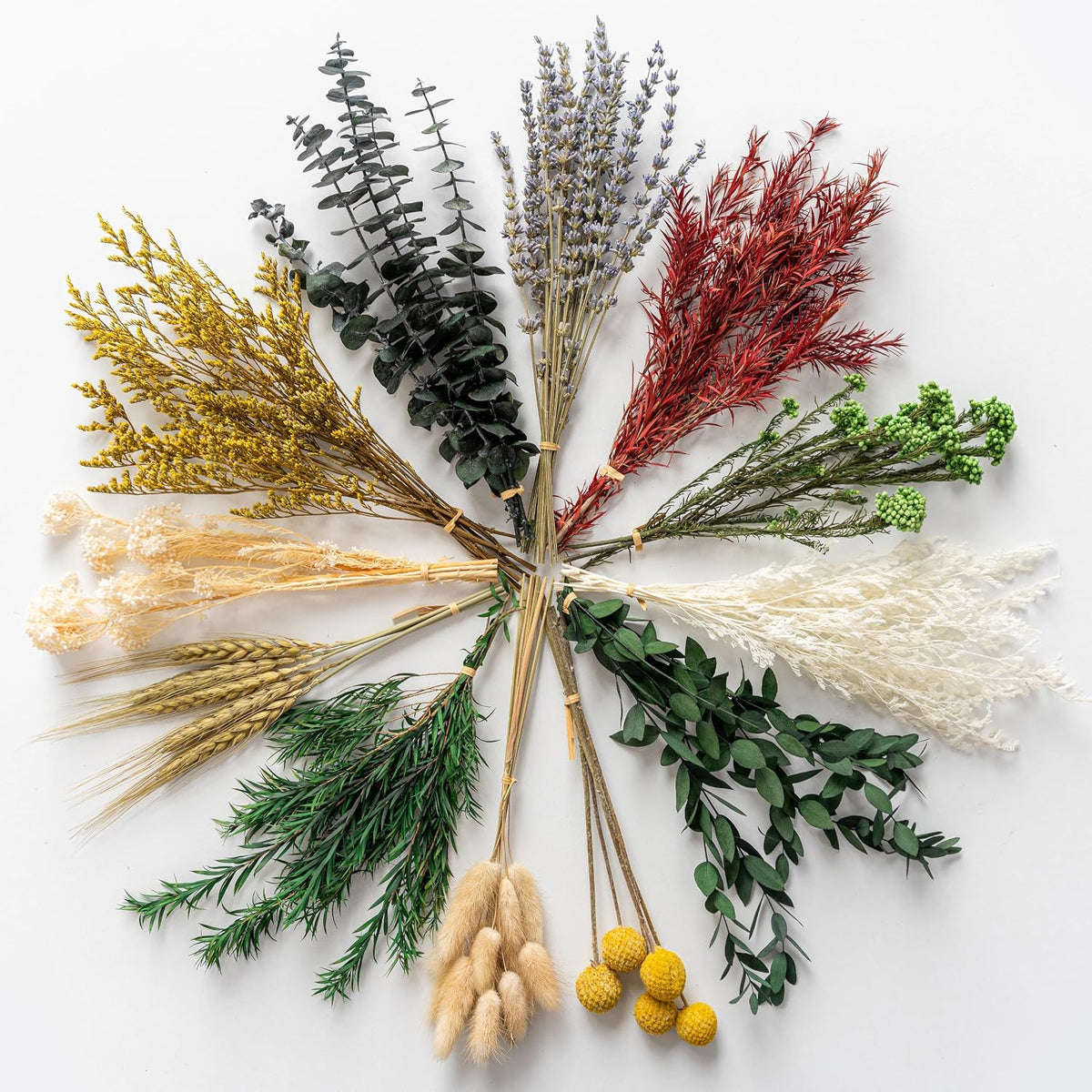Dried Pampas Grass Bouquet Dried Flowers Eucalyptus Stem for Wedding Decor