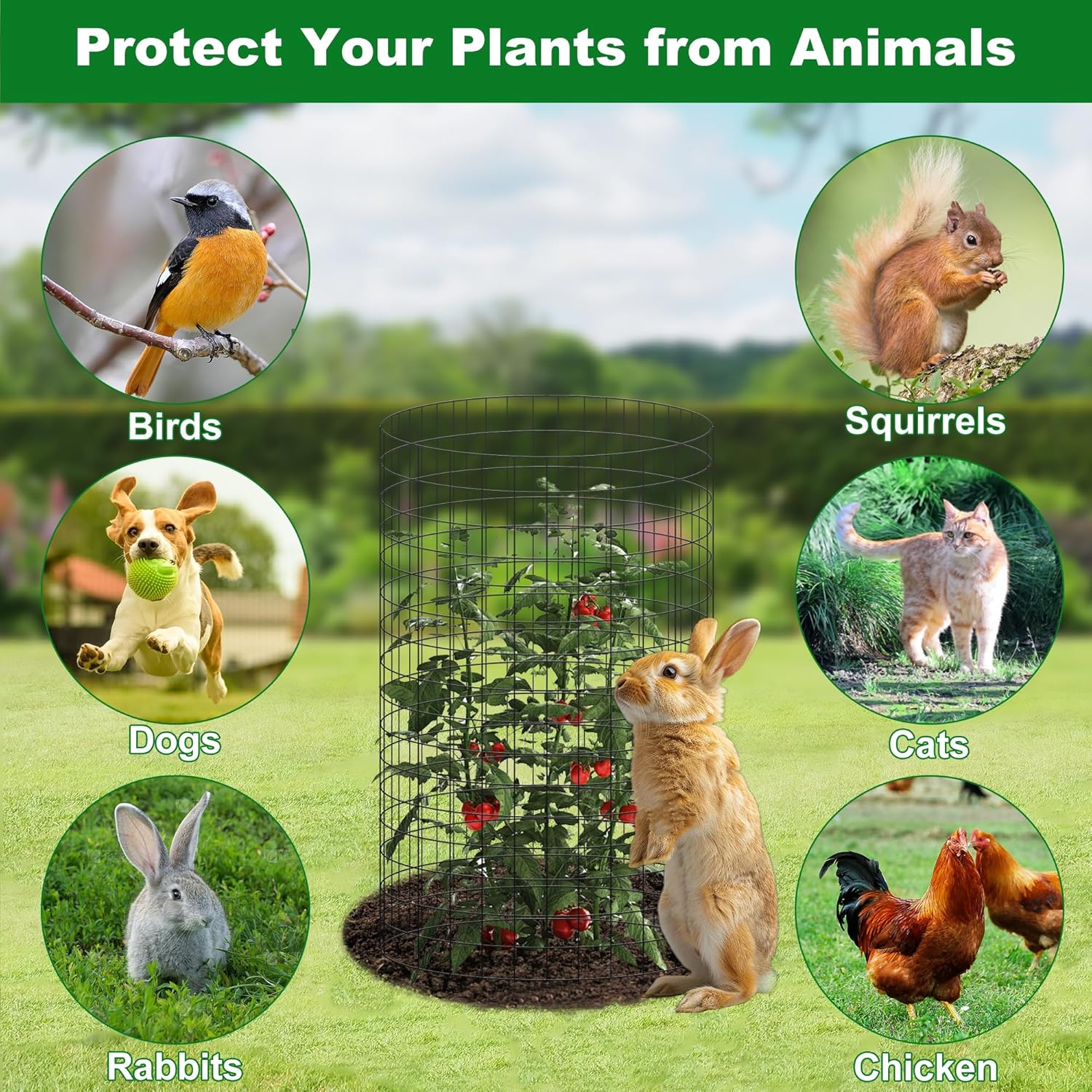 winemana 12 Set Garden Plant Protector Cage,36 Pcs 16x12 in Metal Wire Protectors for Plants Protection Cages with