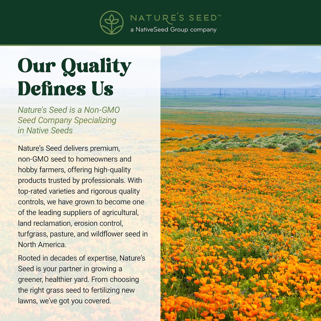 Nature’s Seed California Poppy Wildflower Seeds for Planting, Drought Tolerant, Pollinator Friendly, 0.5 lbs