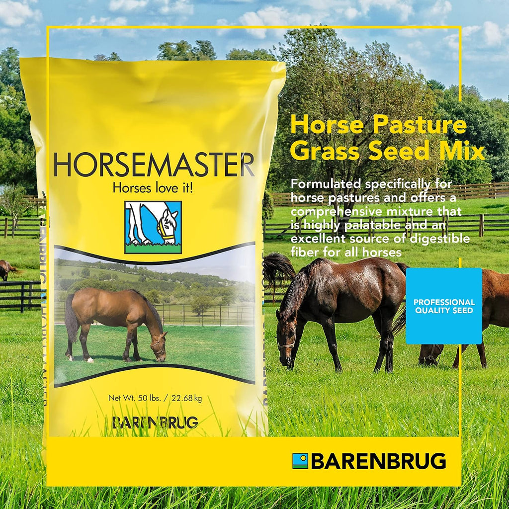 Barenbrug Horsemaster Premium Pasture Grass Seed Mix (25 LB Bag)