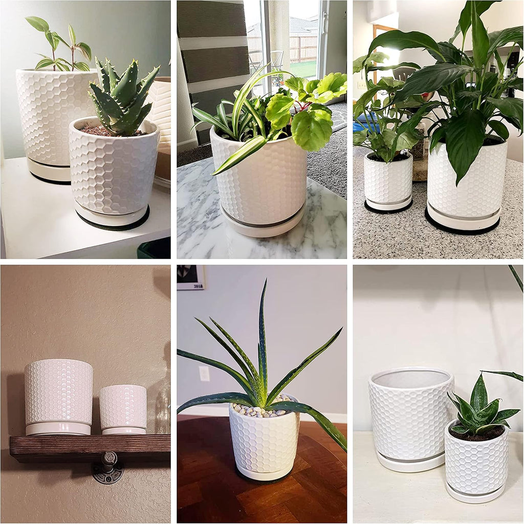 D'vine Dev 2-Pack Honeycomb Ceramic Planters, 4/6 in, 99-C-1-N | Sculptural Surface Detail, Timeless Design, Functional