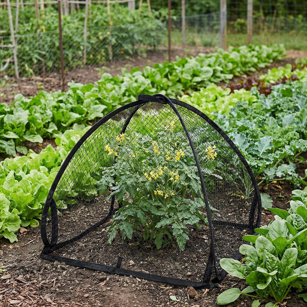 DECOHS 2 Pcs Pop-Up Mesh Plant Cover Tent, 22 x 22 x 22 Inch Garden Net Cage Guard Cover, Plant Protector Enclosure