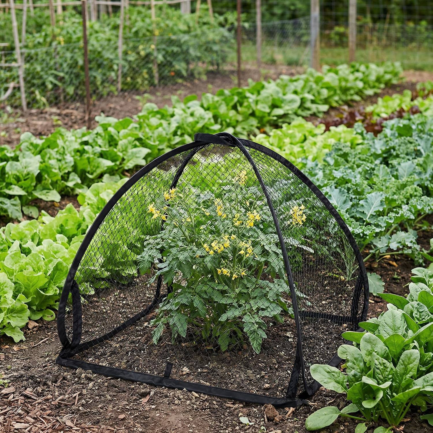 DECOHS 2 Pcs Pop-Up Mesh Plant Cover Tent, 22 x 22 x 22 Inch Garden Net Cage Guard Cover, Plant Protector Enclosure