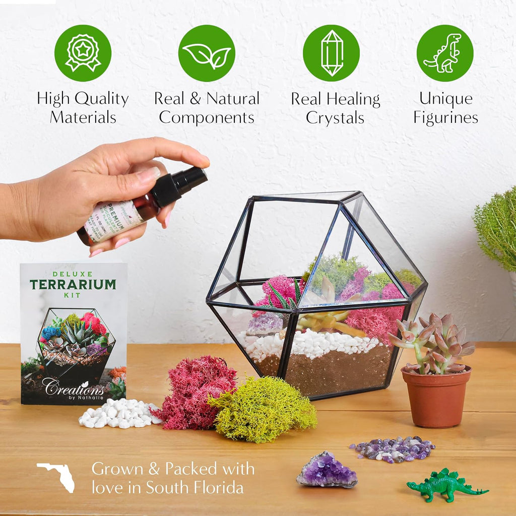 Creations by Nathalie – DIY Large Terrarium Starter Kit with Soil, Moss, Pebbles, Healing Crystal, Tools & Supplies –