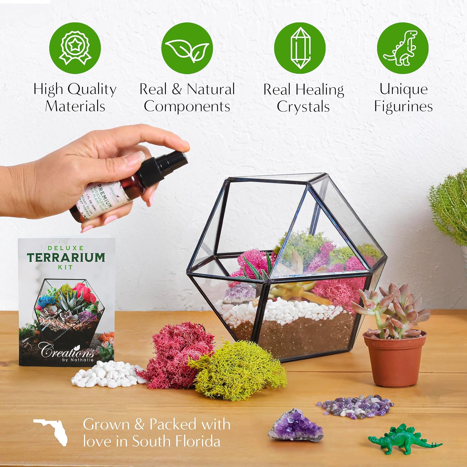 Creations by Nathalie – DIY Large Terrarium Starter Kit with Soil, Moss, Pebbles, Healing Crystal, Tools & Supplies –