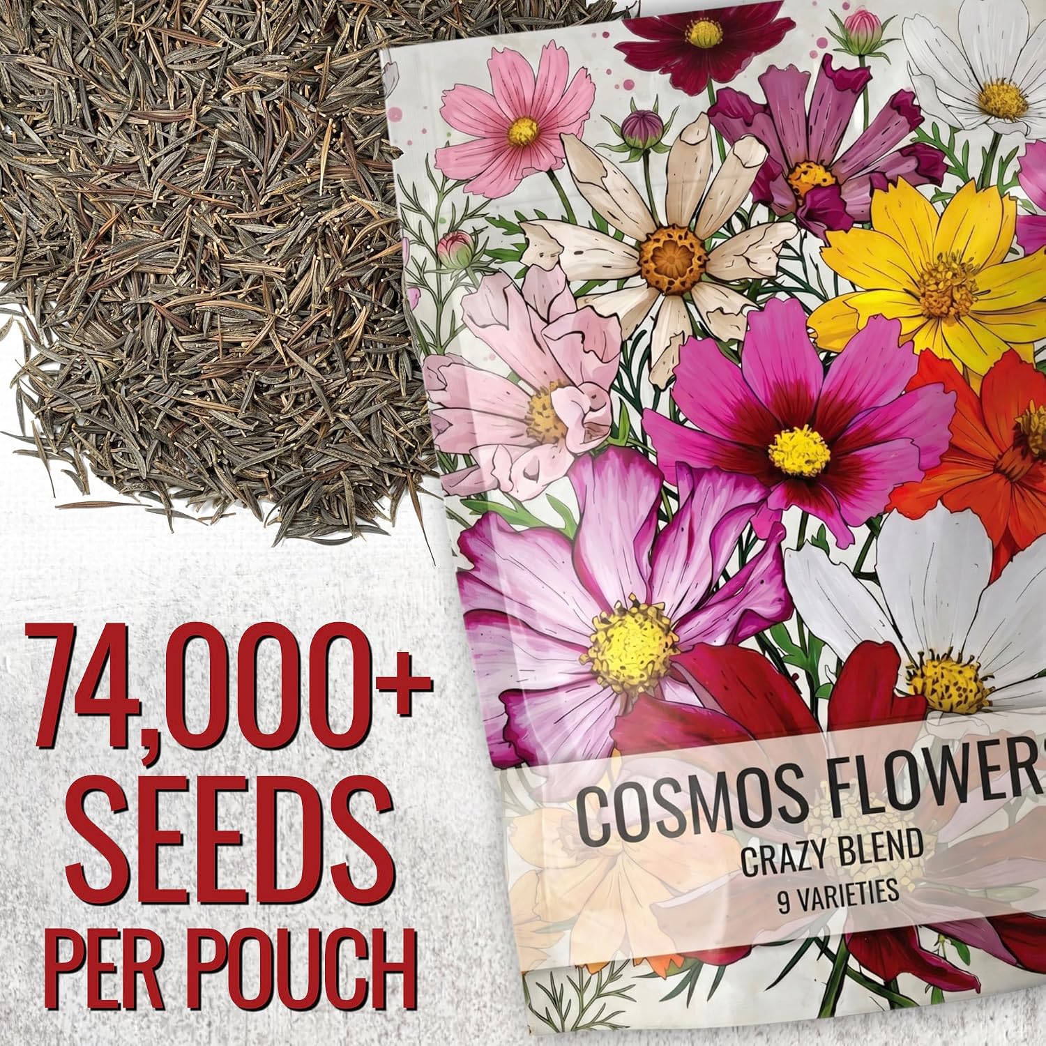 Seed Needs Flower Seeds Cosmos Crazy Blend No Filler 10+ Varieties Cosmos | 1 Pound Cosmo Bipinnatus Open Pollinated