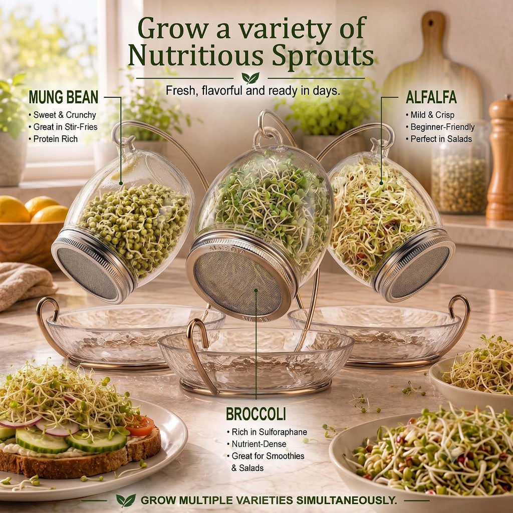 Premium Sprouting Jar Kit - Unique 30 oz Wide Mouth Sprouting Jar, Stand, Tray and 316 Stainless Screen Lid