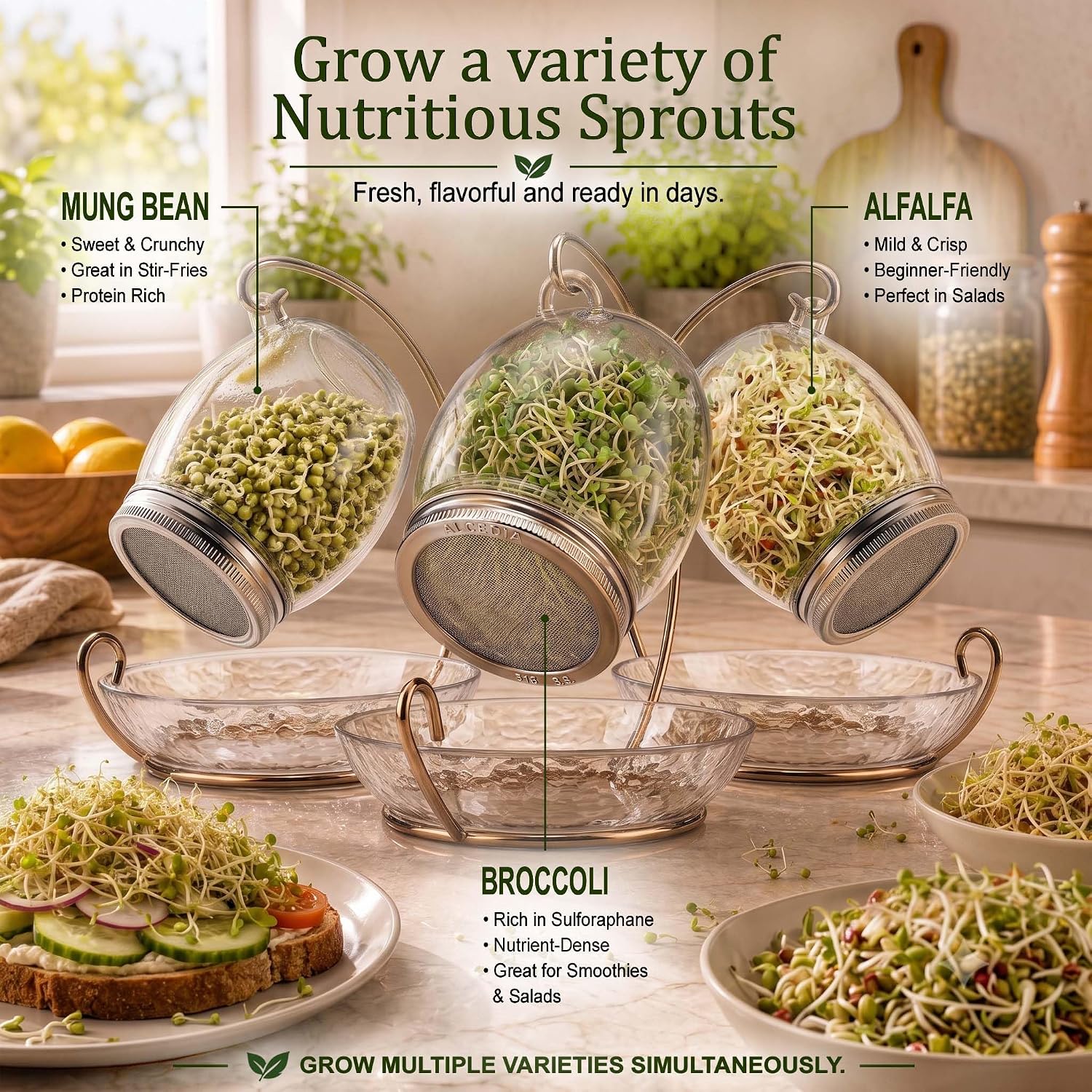 Premium Sprouting Jar Kit - Unique 30 oz Wide Mouth Sprouting Jar, Stand, Tray and 316 Stainless Screen Lid