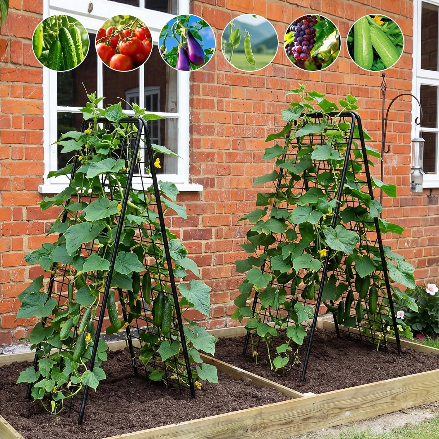 A-Frame Trellis for Climbing Plants Outdoor, 2 Pack Metal Garden Trellis | Heavy Duty Cucumber Climbing Trellis with