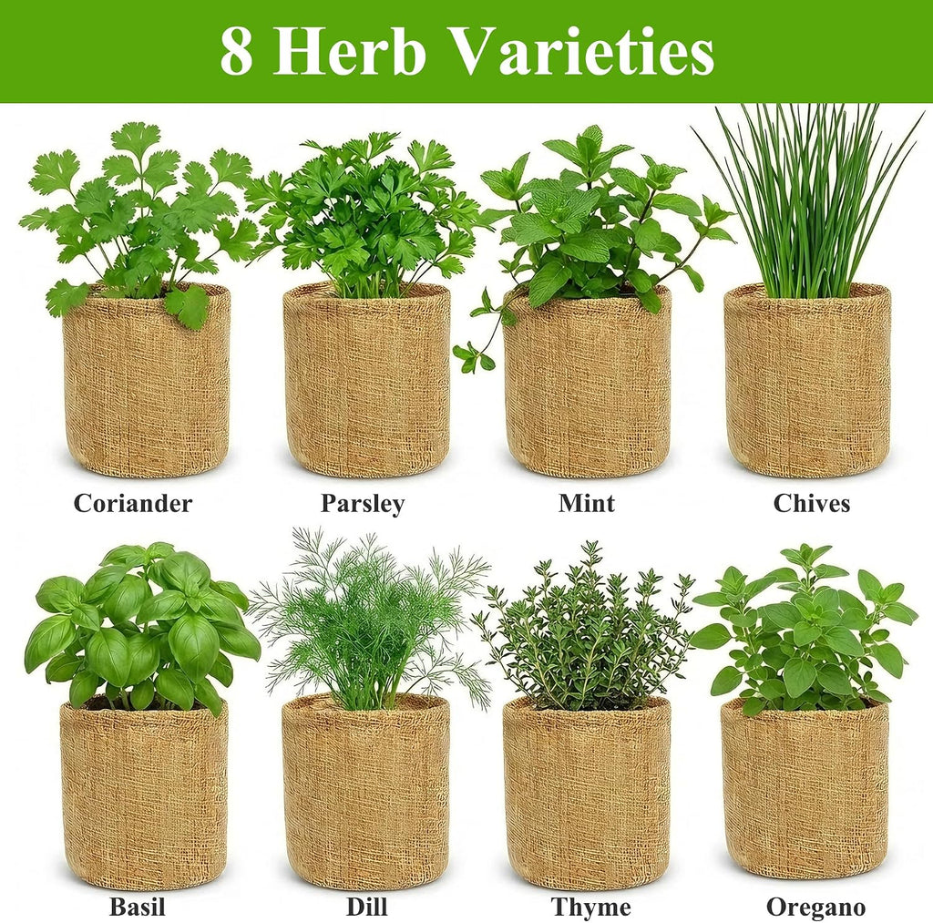 Indoor Herb Garden Kit, Culinary Herb Starter Kit with Seeds & Tools for Beginners, Kitchen Decor, House Warming Gifts