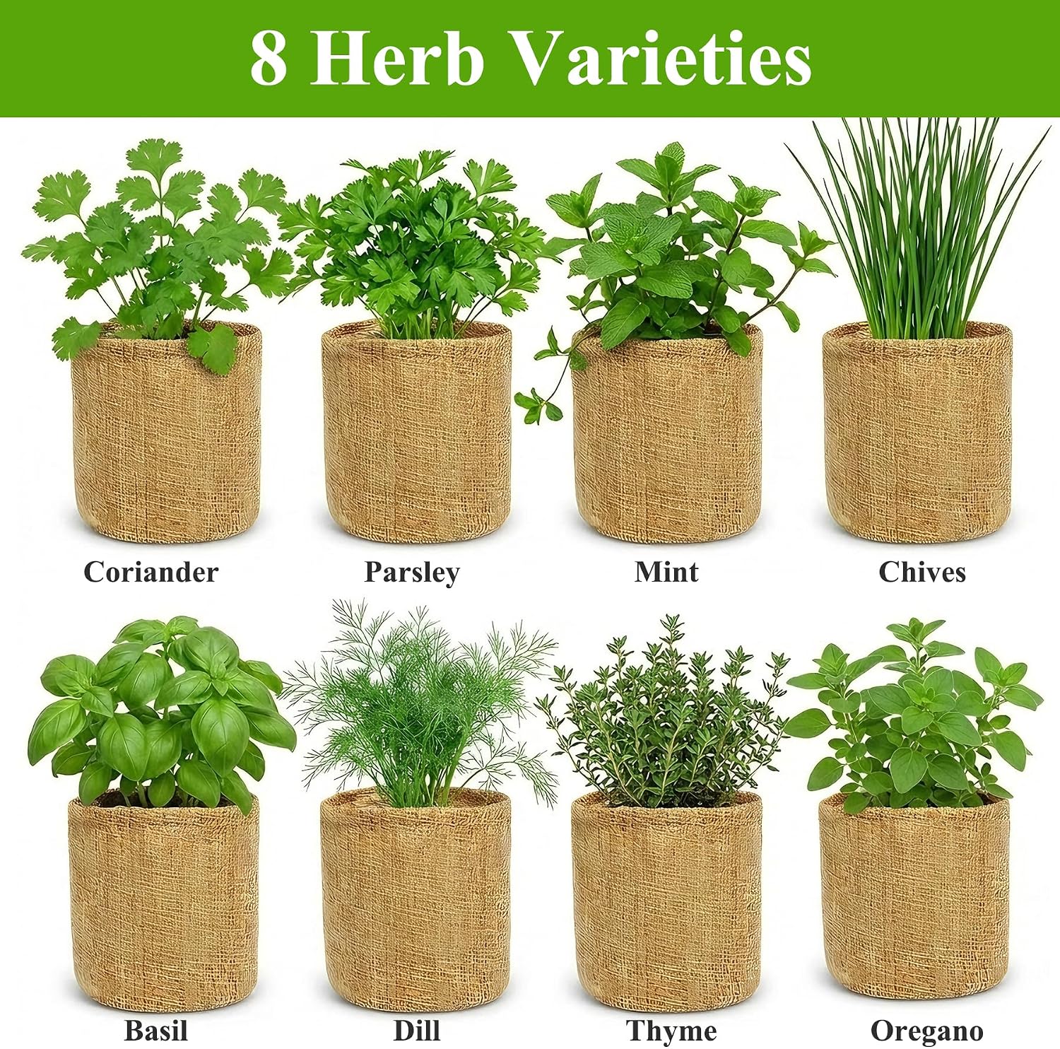 Indoor Herb Garden Kit, Culinary Herb Starter Kit with Seeds & Tools for Beginners, Kitchen Decor, House Warming Gifts