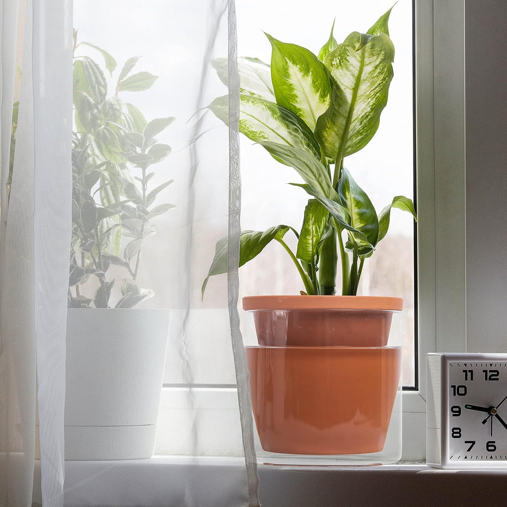 D'vine Dev Self Watering Terracotta Planter Pot, 6 in, 2-Pack, 37-Y-B-1 | Terracotta & Glass Design, Clear Water