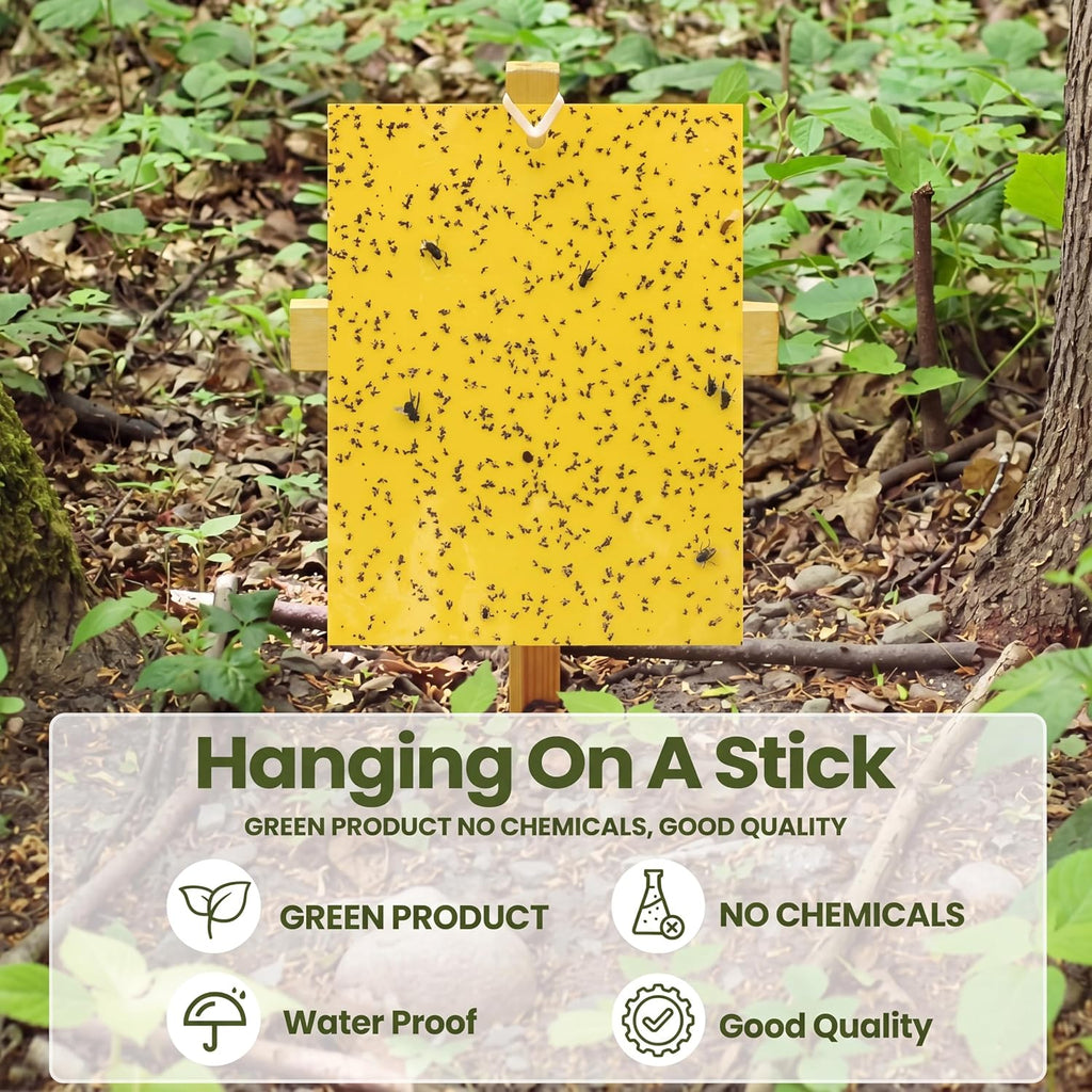 Qualirey 250 Pcs 6 x 8 in Yellow Sticky Traps for Gnats Plant Insect Trap | Dual Sided Strong Sticky, Fungus Fruit