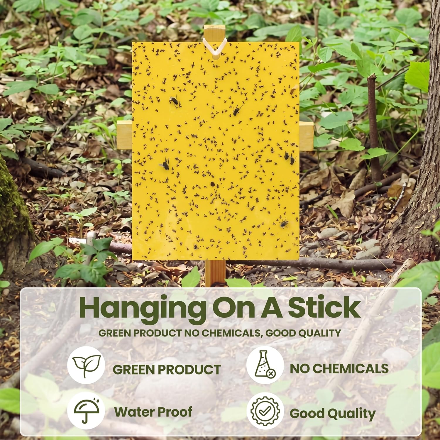 Qualirey 250 Pcs 6 x 8 in Yellow Sticky Traps for Gnats Plant Insect Trap | Dual Sided Strong Sticky, Fungus Fruit