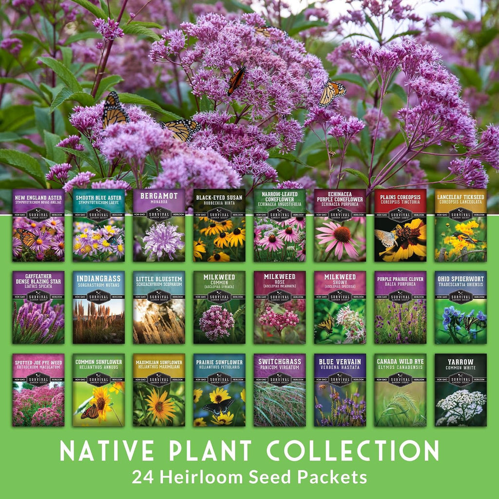 American Wildflower Seeds for Planting - 24 Variety Pack of Native Plants | Native Flowers + Bunchgrasses for Butterfly