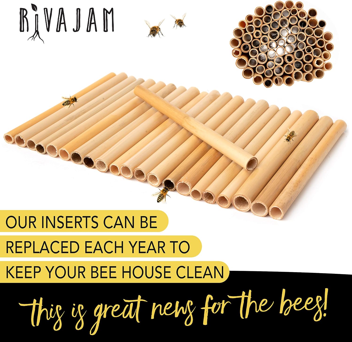 Rivajam 125 Phragmite Reed Mason Bee Tubes | Refill for Bee House, Hotel Nest Box, Solitary Hive & Pollinator Box