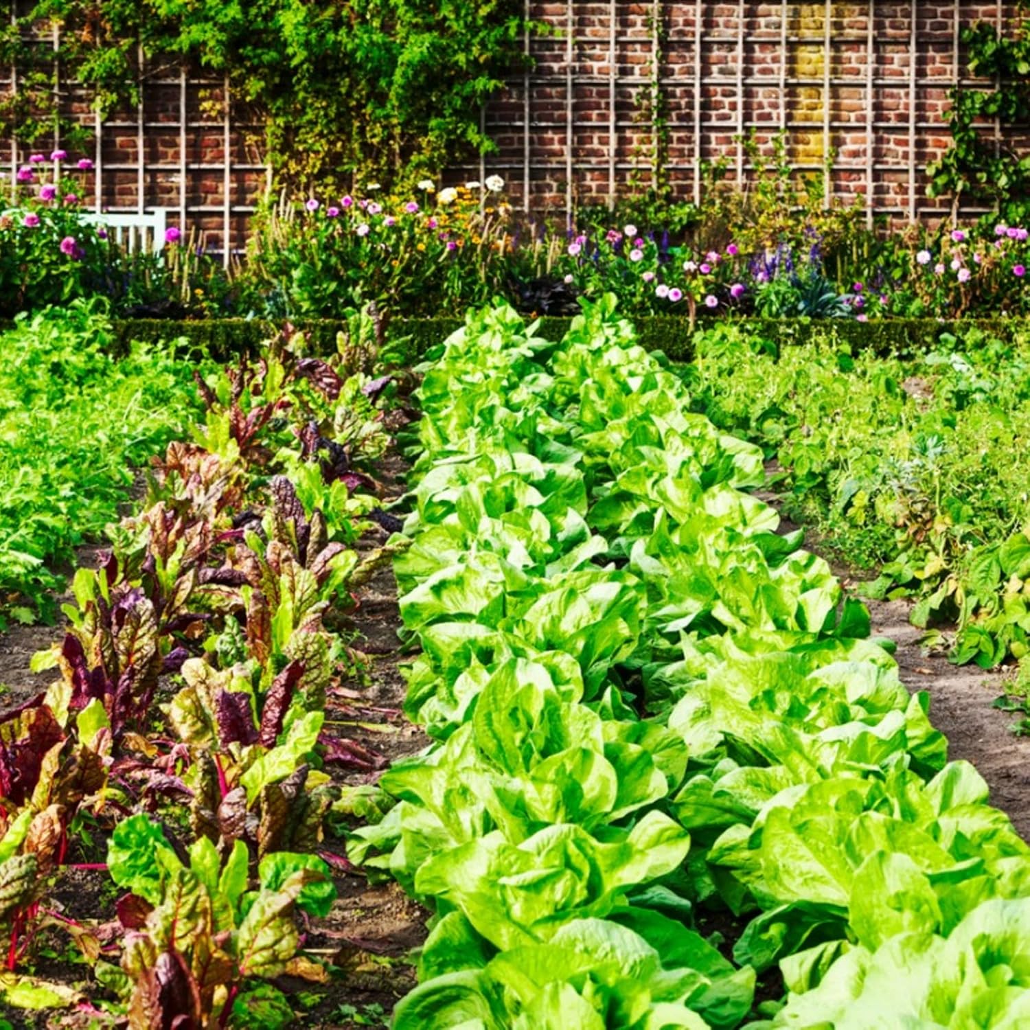 Vapor Barrier Supply - 3.2oz Premium Landscape Fabric Heavy Duty - (3' x 100') - Commercial Grade Landscape Fabric