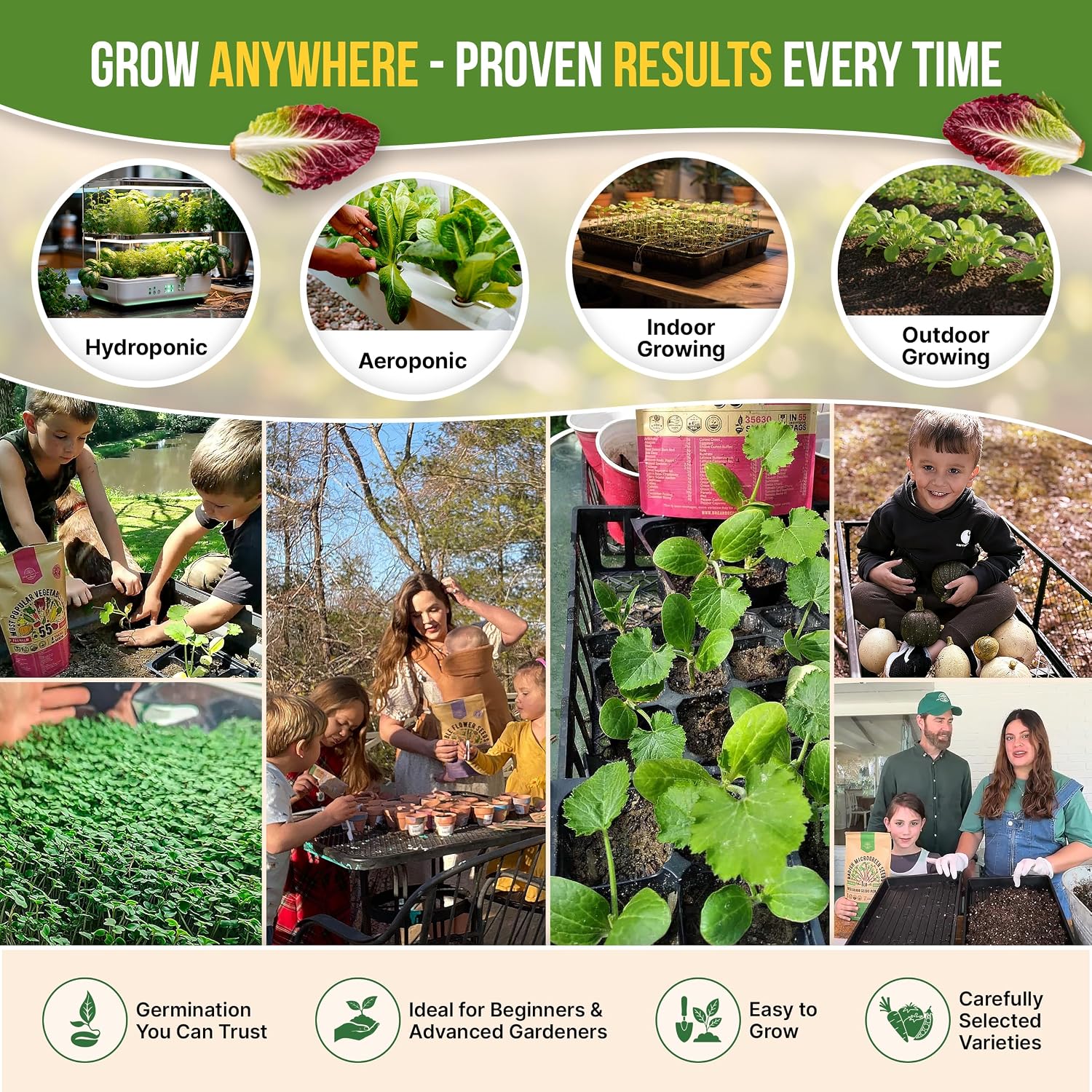 22 Lettuce & Salad Greens Seeds Variety Pack 24,700+ Non-GMO Heirloom Lettuce Seeds for Indoor & Outdoor Garden