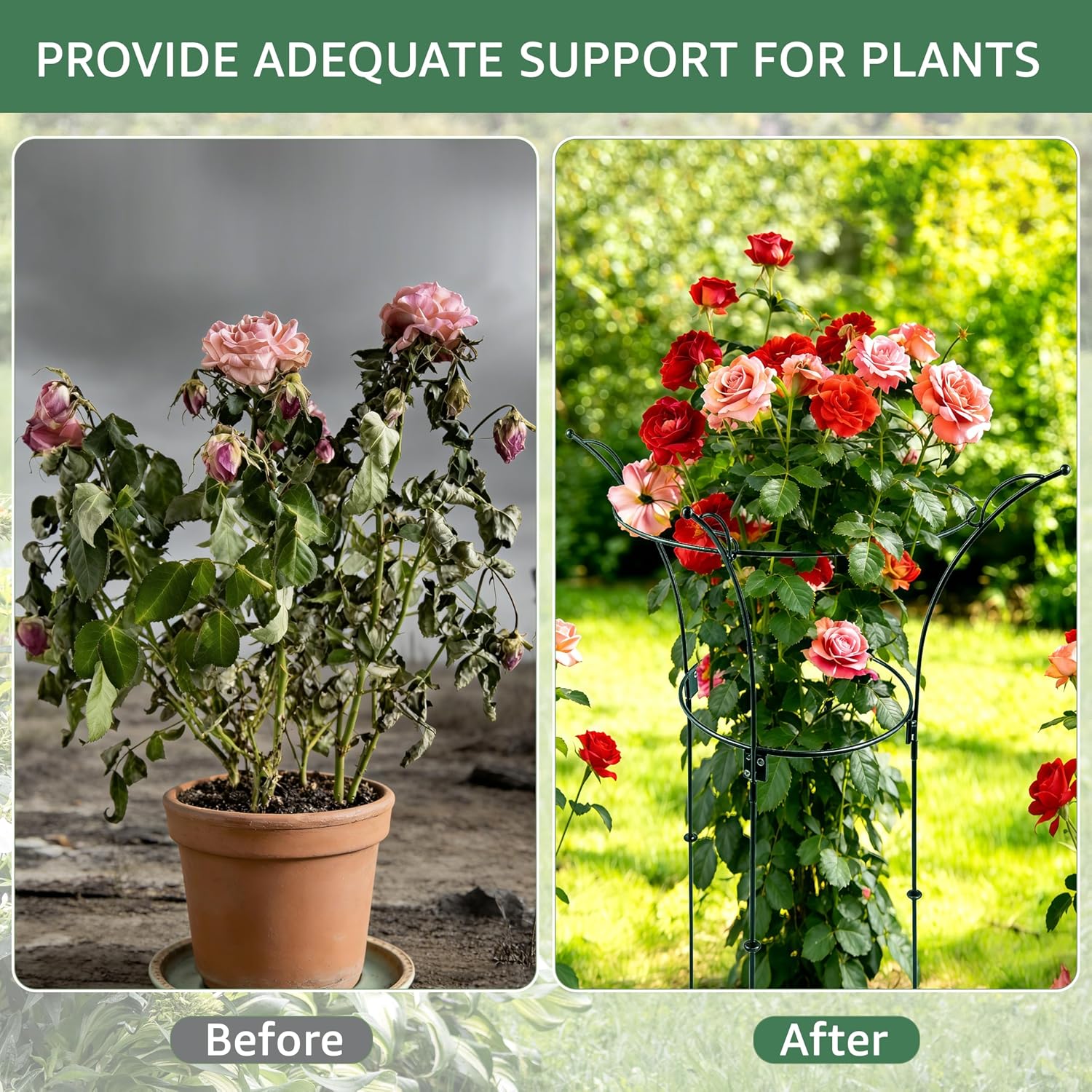 Fayoo 2 Pack Peony Cages and Supports with Twist Ties, 23.2" H X 13" D Heavy Duty Metal Plant Support Rings, Outdoor