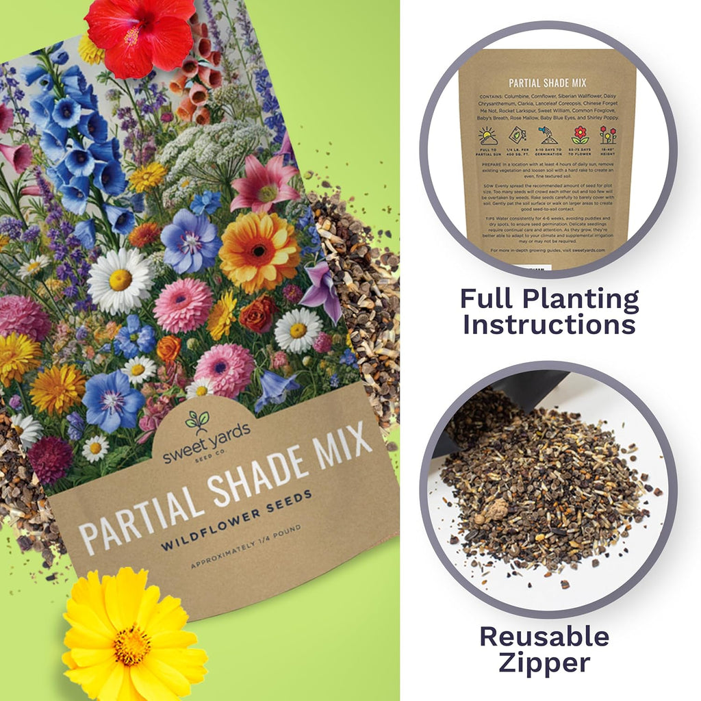 Bulk Wildflower Seeds Partial Shade Mix - 1/4 Pound Bag Over 30,000 Open Pollinated Annual and Perennial Seeds