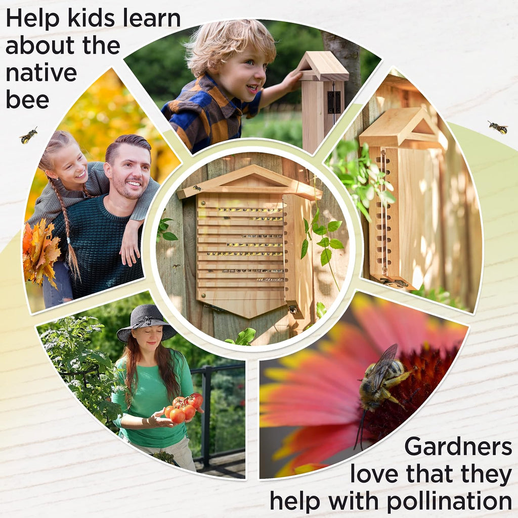 Rivajam Native Bee Observatory | Mason Bee Houses for Pollinating Bees | Pollinator Bee Houses for the Garden Lover