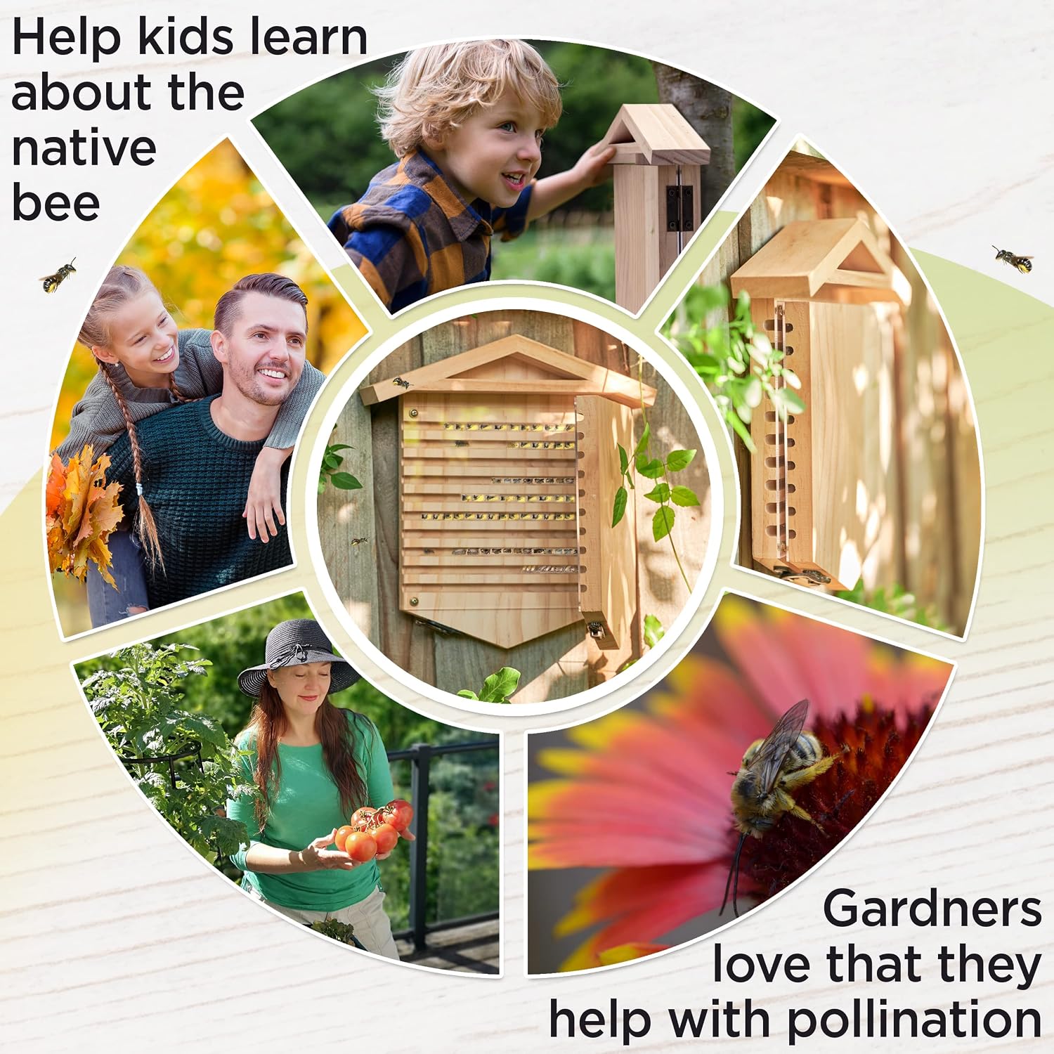 Rivajam Native Bee Observatory | Mason Bee Houses for Pollinating Bees | Pollinator Bee Houses for the Garden Lover