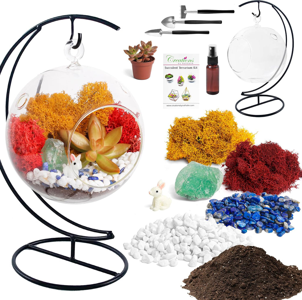 Creations by Nathalie - 5" Glass Globe Succulent Terrarium Kit, Hanging DIY Starter Kit for Kids and Adult, Metal