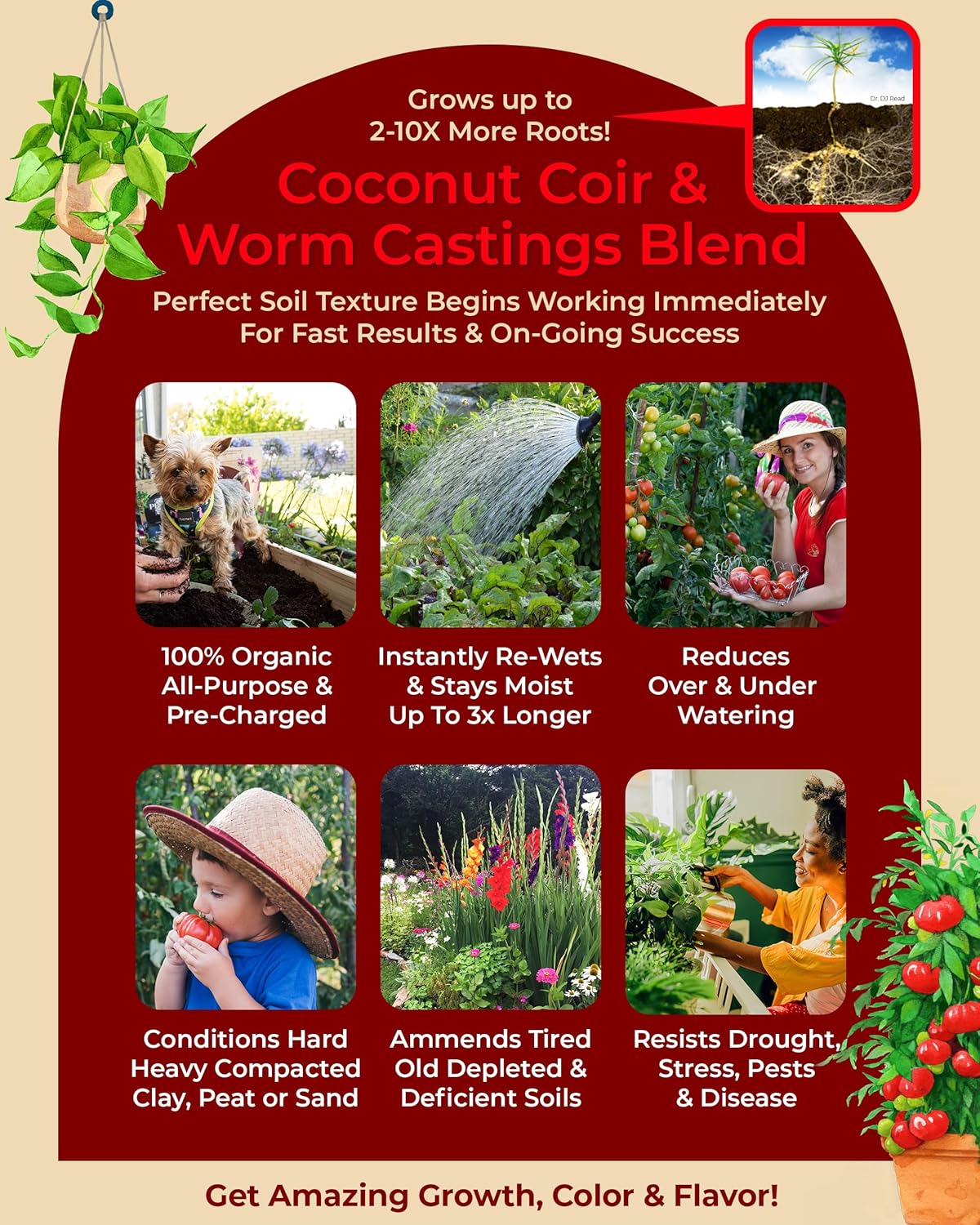 Compressed Organic Potting Soil for Garden, Plants & Vegetables - Expands 4x When Mixed with Water - Indoor or Outdoor