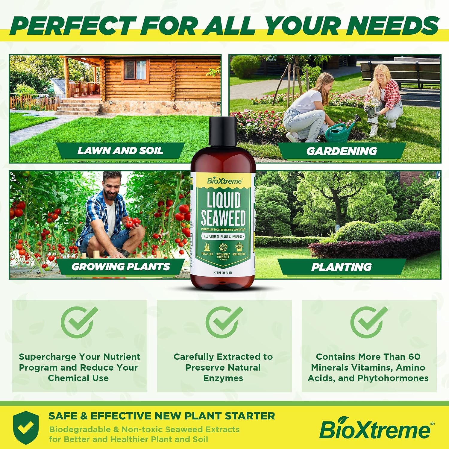 Liquid Seaweed Premium Concentrate – Undiluted Kelp Extract with No Fillers or Colorants – All Natural Fertilizer for