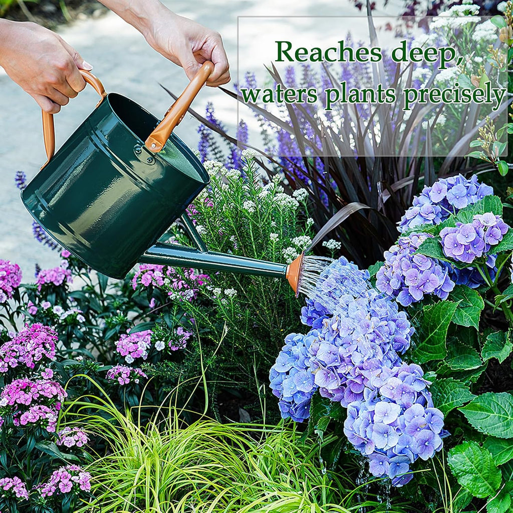 Metal Watering Can for Plants,Watering Cans for Outdoor&Indoor Gardening, Galvanized Steel Water Can with Removable