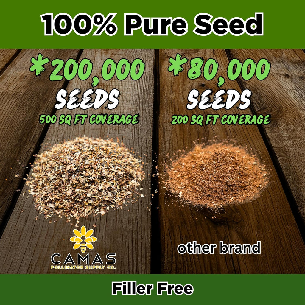 Monarch Butterfly Garden Kit with Milkweed Seeds–Perennial Flower Seeds to Plant Outside| 1/4 Pound Pure Bulk